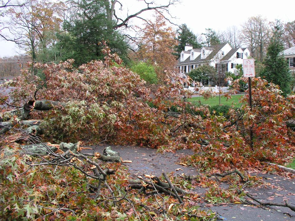 Disaster Operations 9